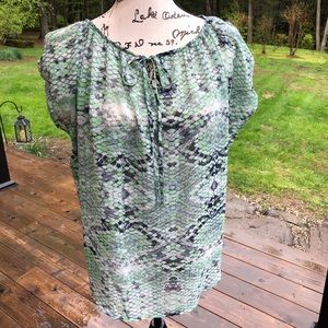 CAbi Green & Blue Darby Sheer Blouse